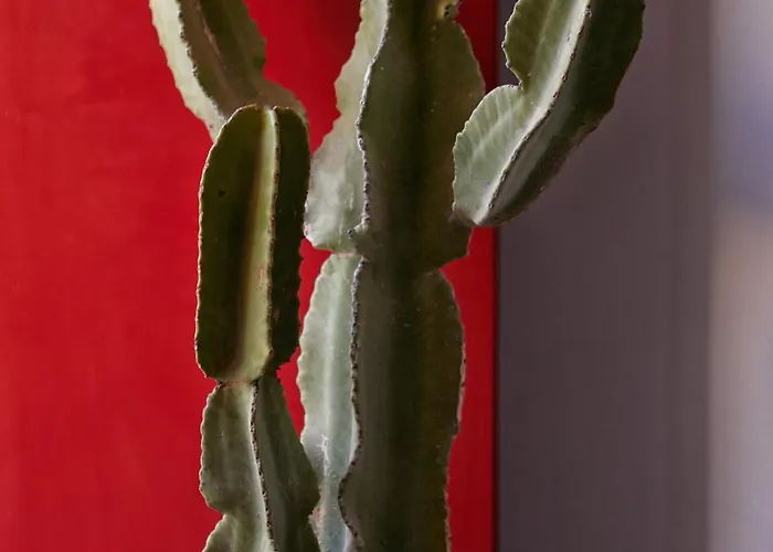 Prázdninový dům 1949 Cave *